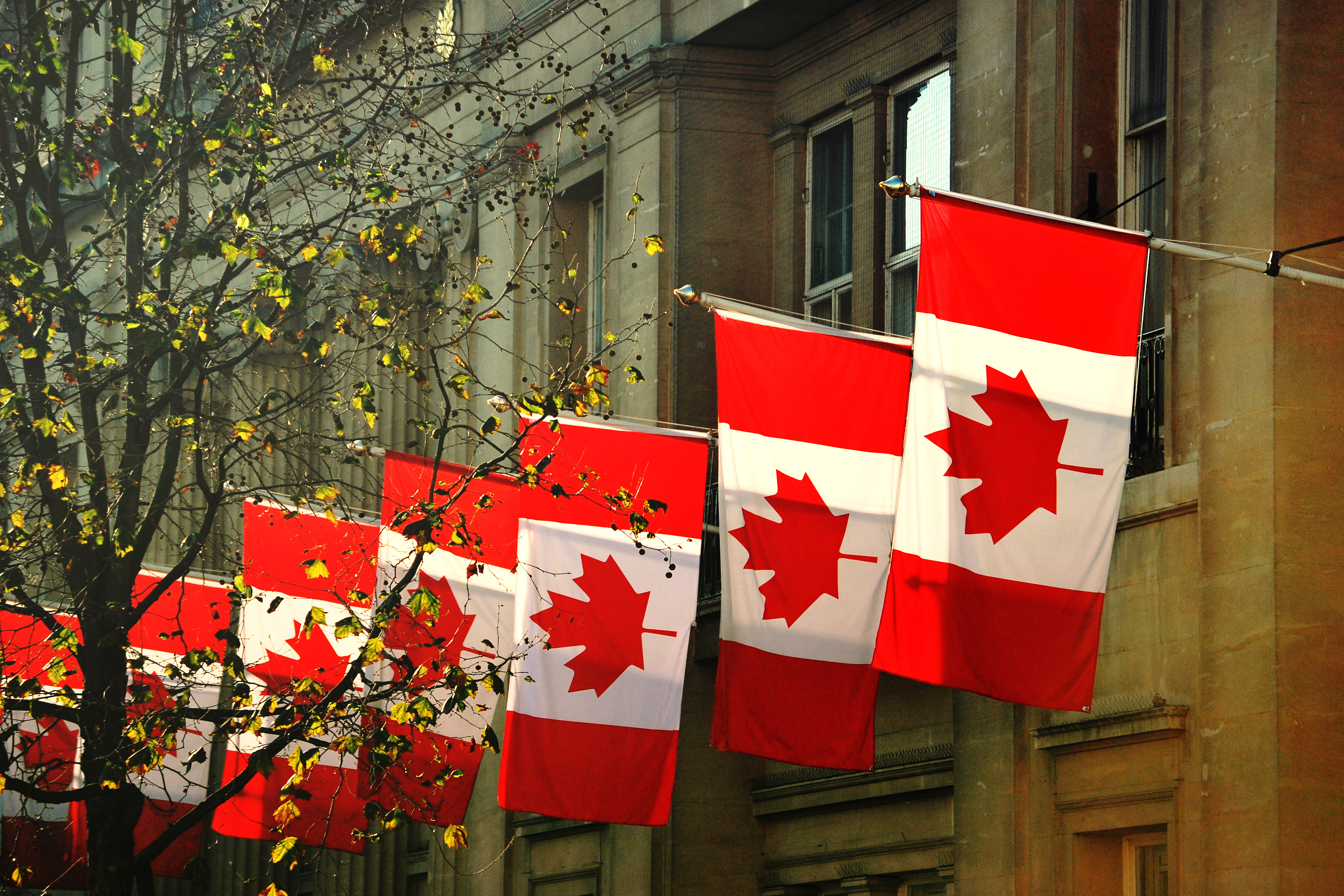 Оформление гражданства Канады для иностранцев