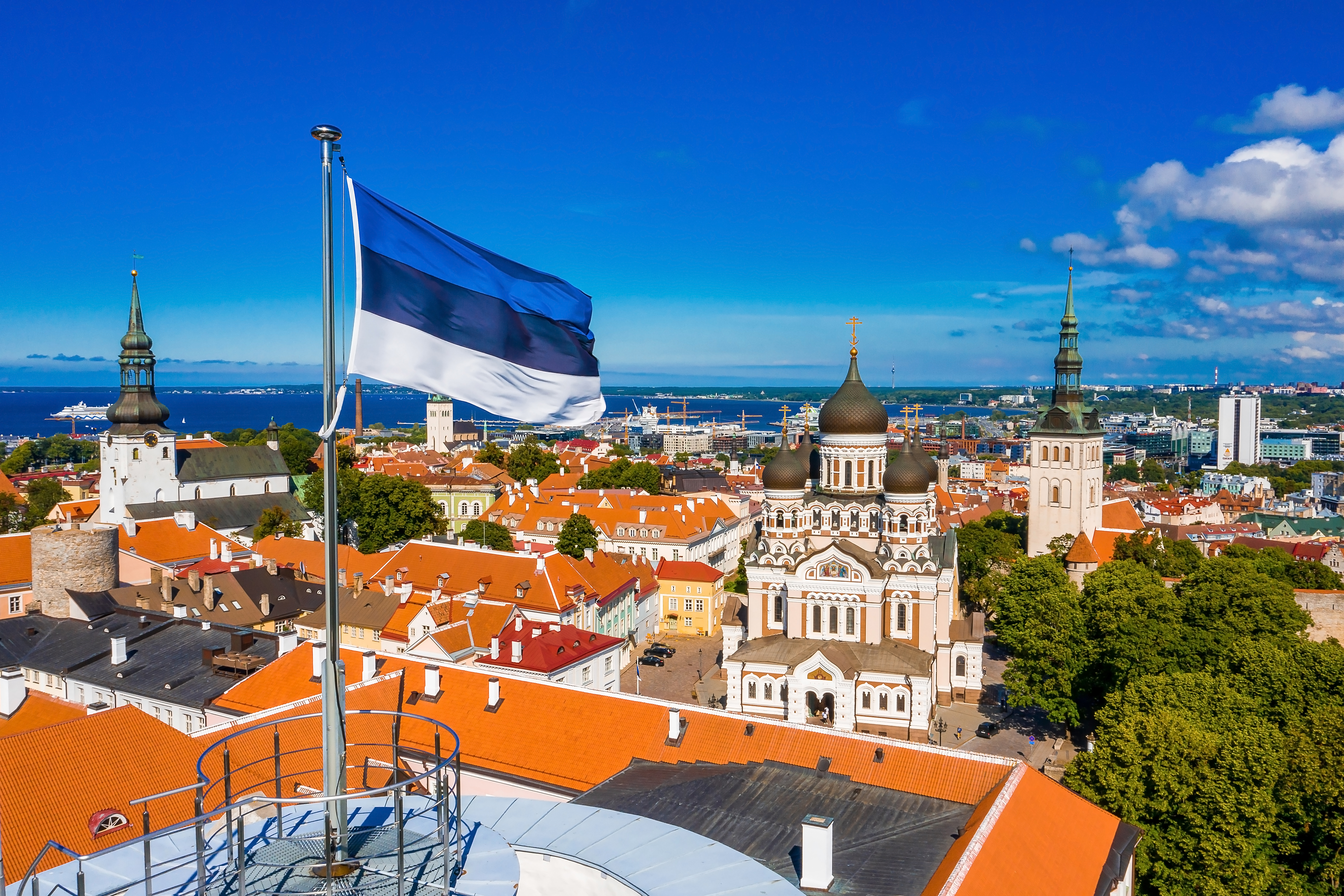 Эстония, где гражданство могут получить иностранцы