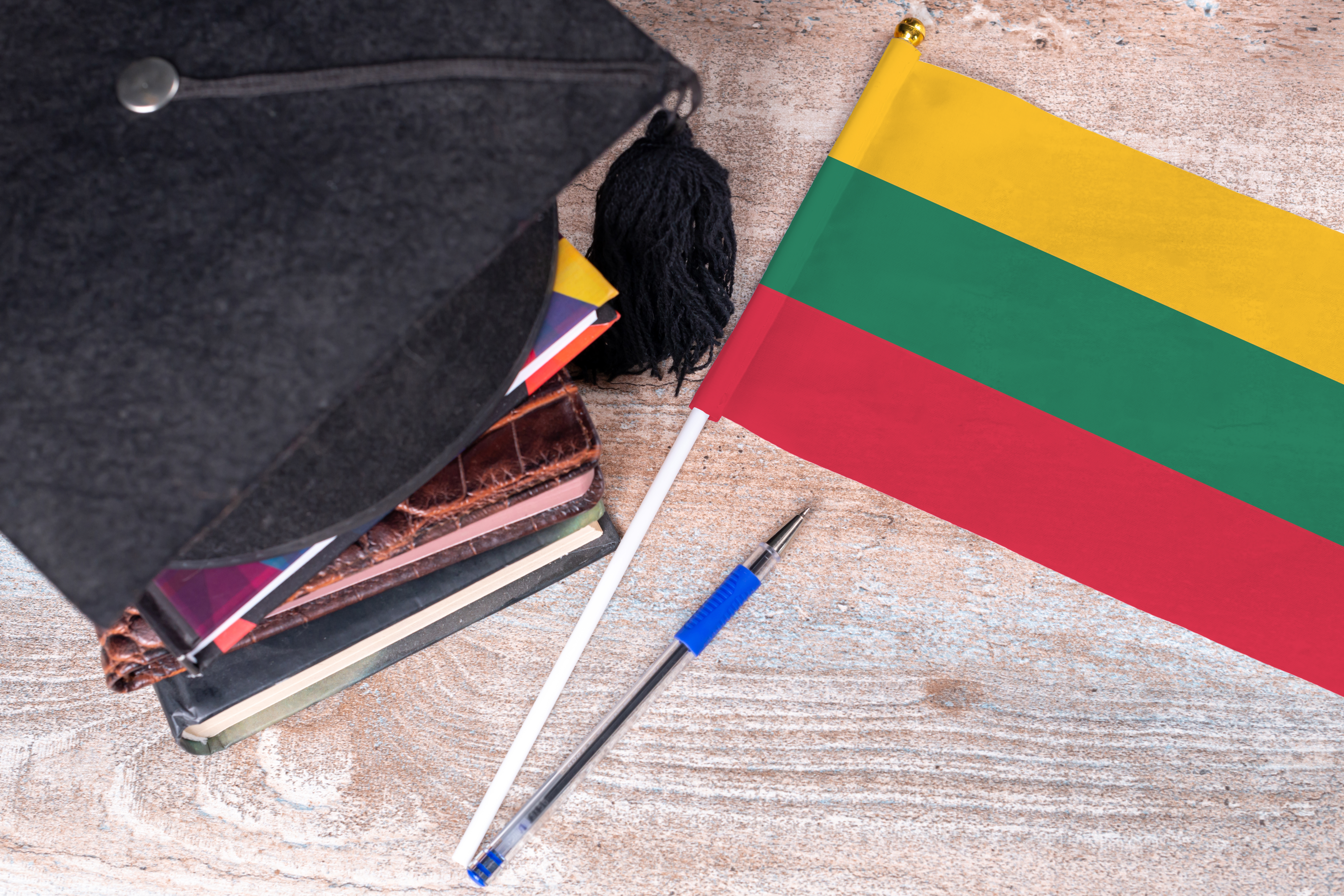 Обучение в Литве