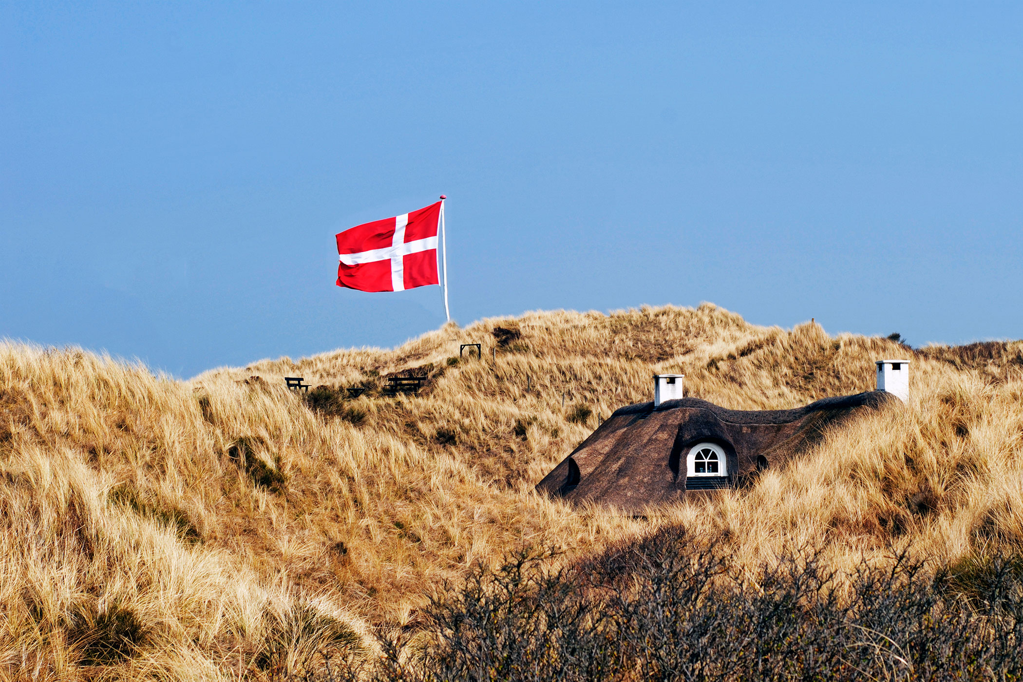 Как получить гражданство Дании