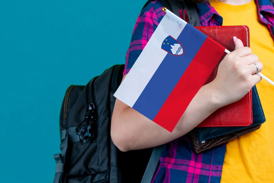 Обучение в Словении