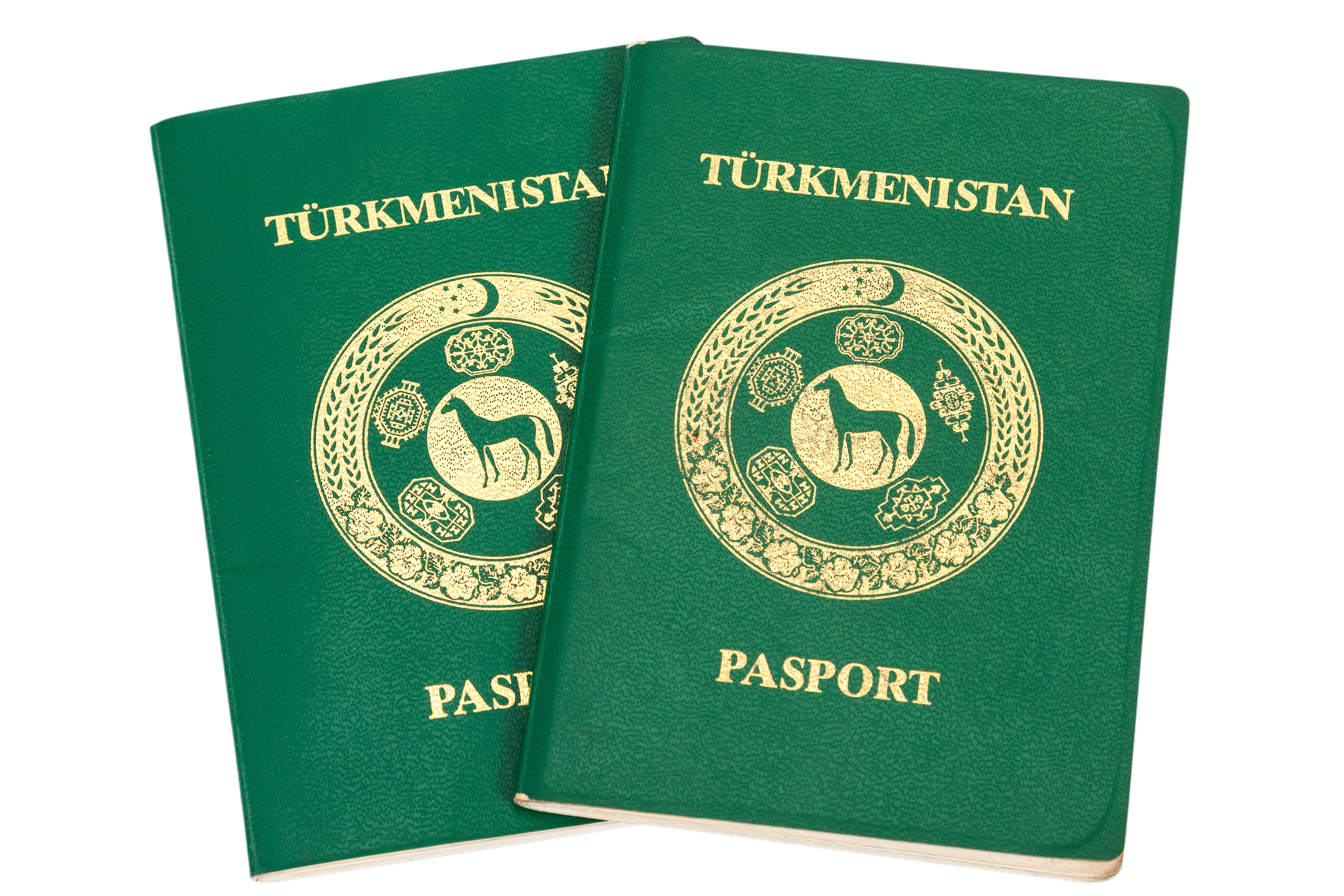 Паспорта Туркменистана