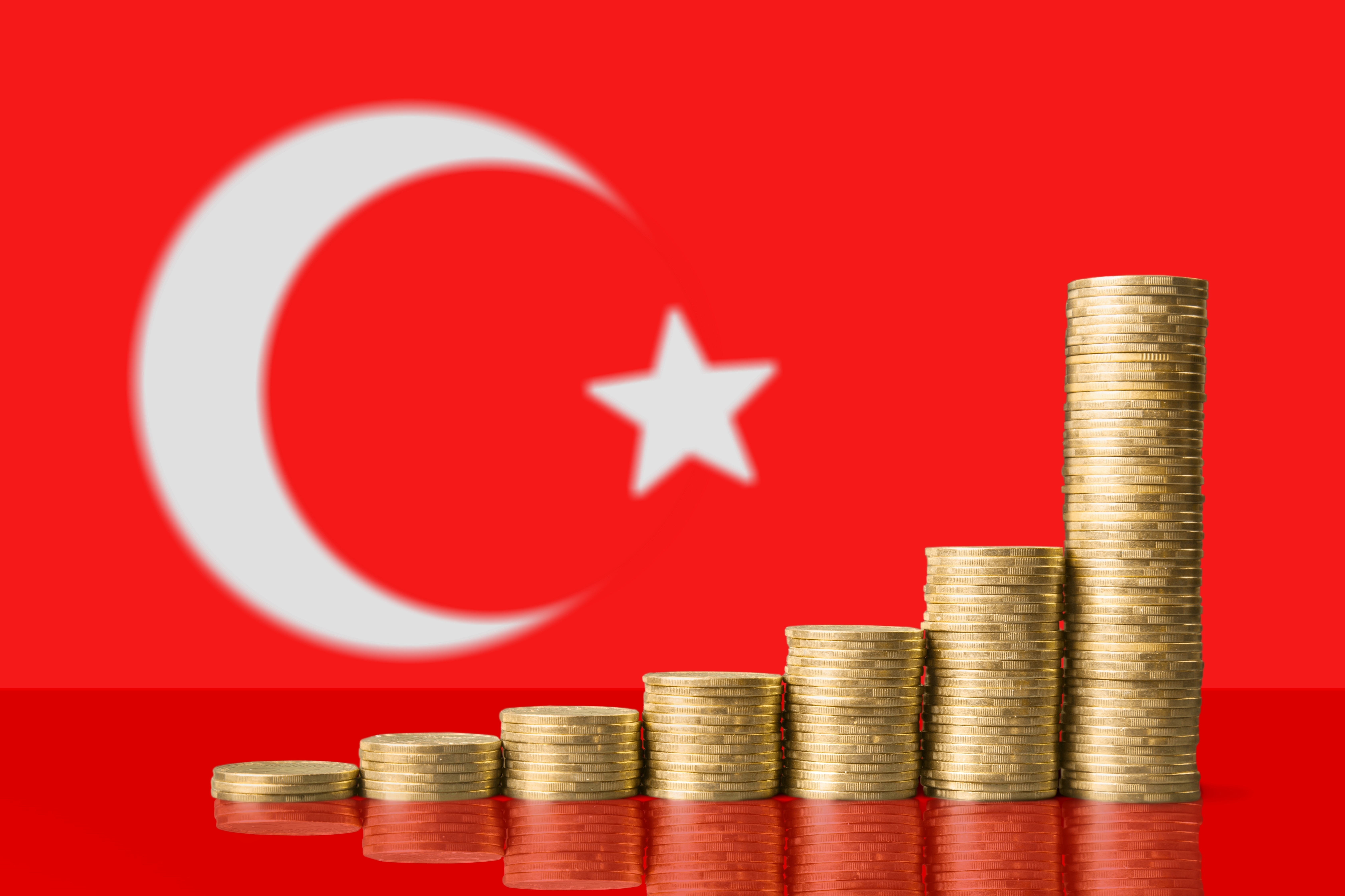 Налоговая система Турции